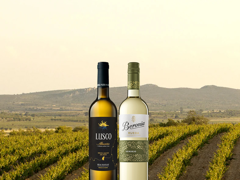 witte wijn verdejo